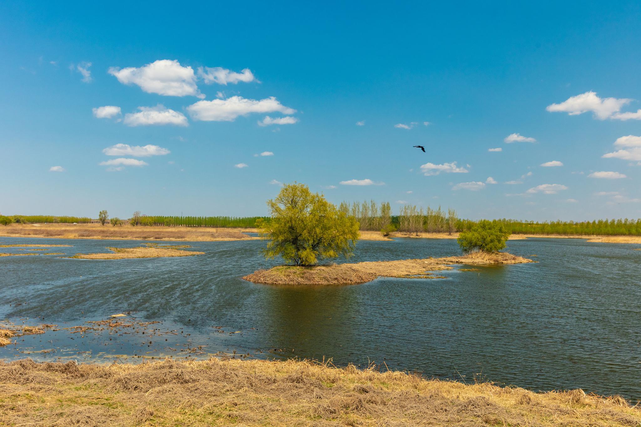 达里诺尔湖:自然与人文的和谐之美 达里诺尔湖,内蒙古赤峰市的最大
