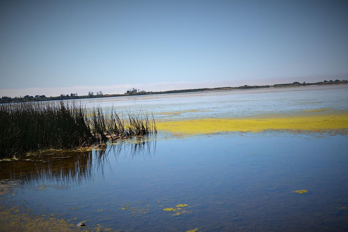 达里诺尔湖:自然与人文的和谐之美 达里诺尔湖,内蒙古赤峰市的最大