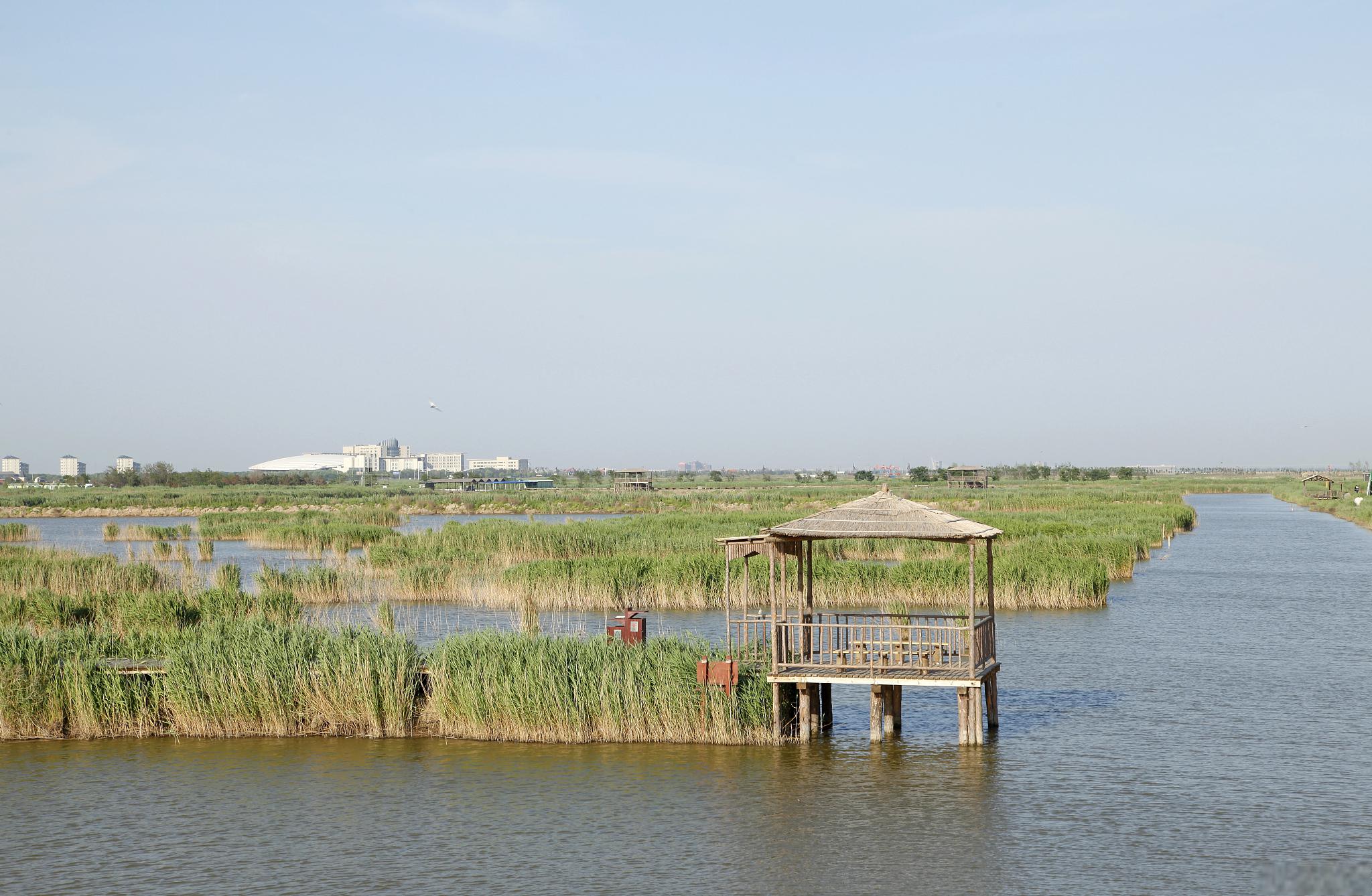 洪泽湖湿地:江苏宿迁的自然瑰宝 江苏宿迁,这片富饶的土地上,隐藏着一