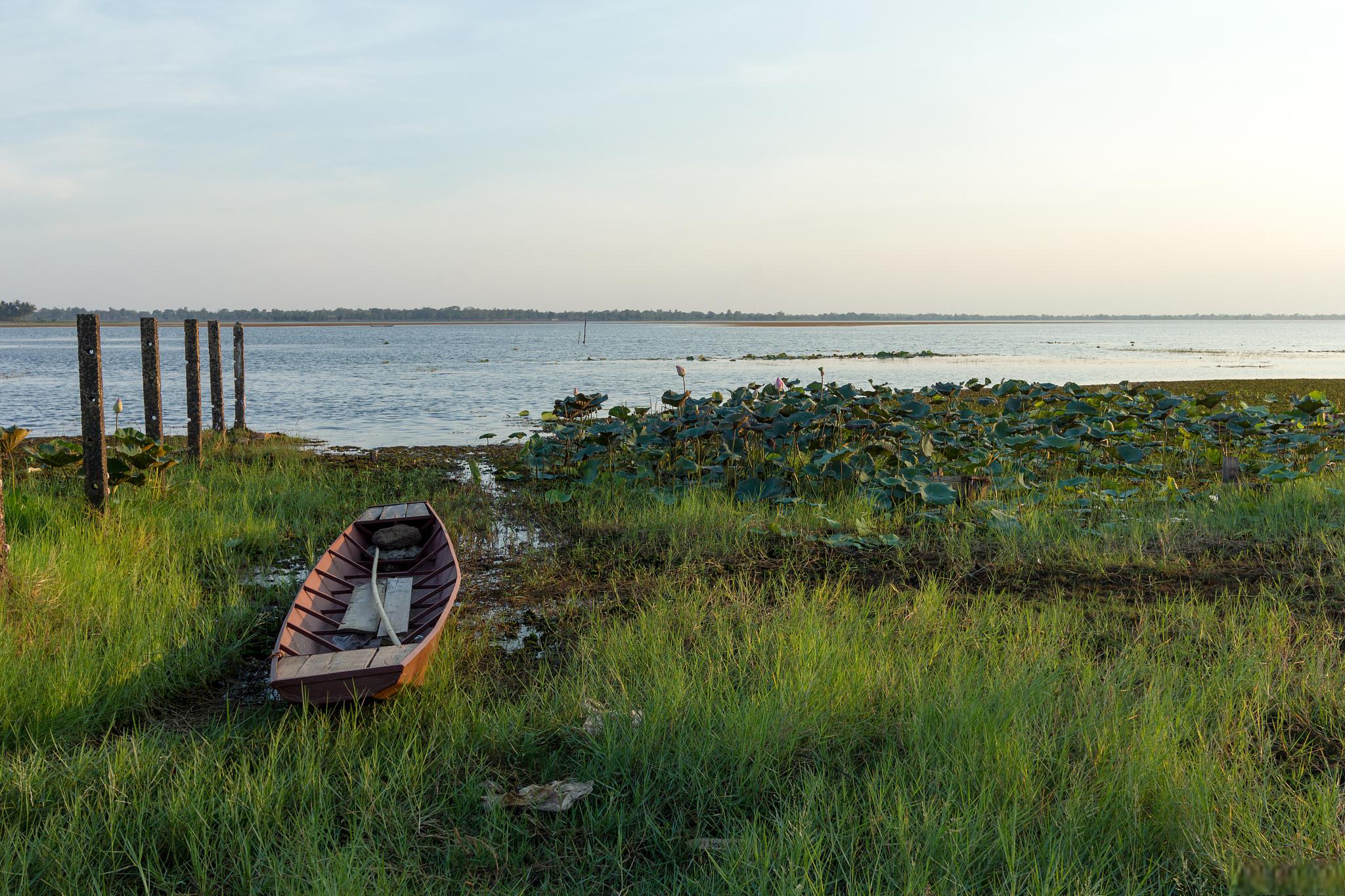洪泽湖湿地:江苏宿迁的自然瑰宝 江苏宿迁,这片富饶的土地上,隐藏着一