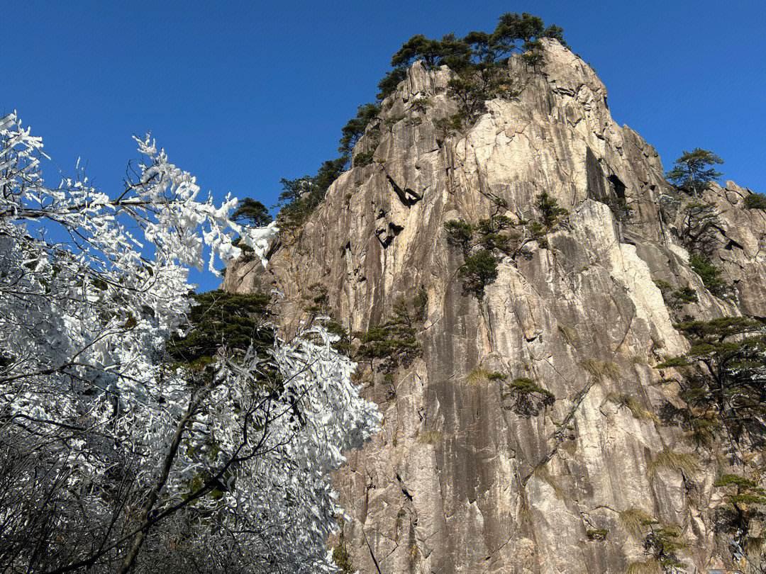 黄山四大景观图片