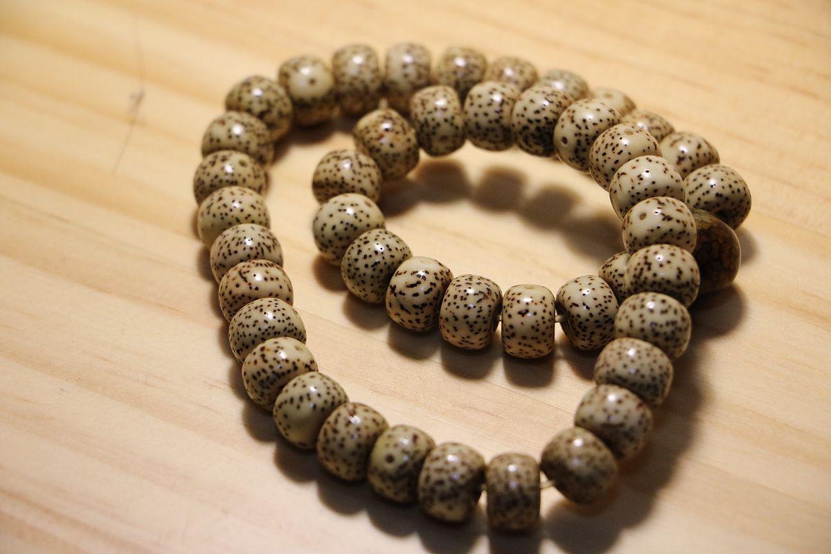 小叶菩提养殖秘籍:打造优雅绿色风景 小叶菩提,又称榕树,是家居盆栽的