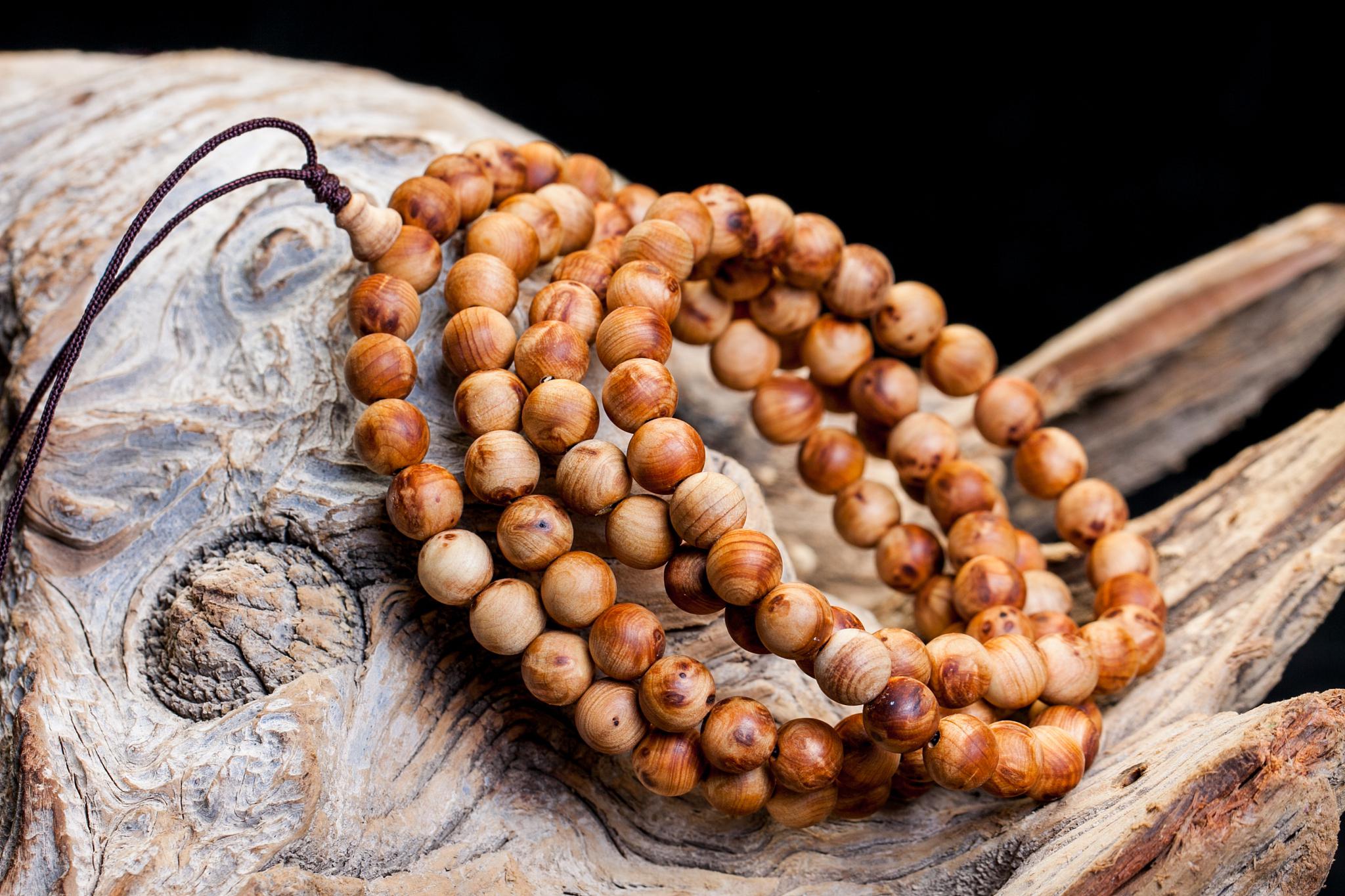 小叶菩提养殖秘籍:打造优雅绿色风景 小叶菩提,又称榕树,是家居盆栽的