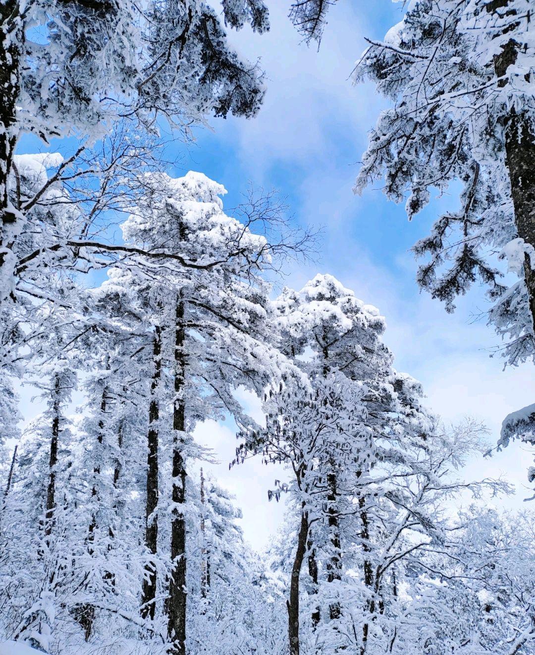 秦岭雪景哪里最美图片