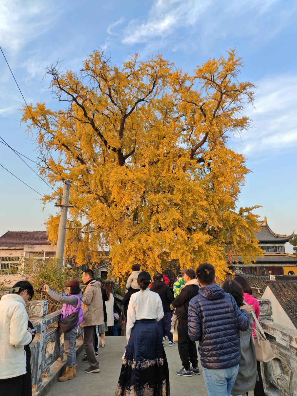 太平禅寺:江南佛教文化的璀璨明珠 太平禅寺位于江苏苏州相城区太平镇
