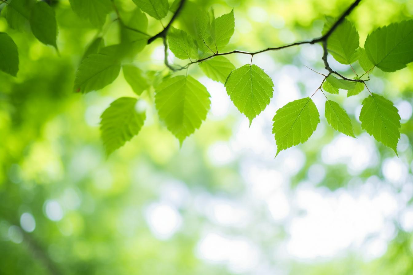 解读 男人真心爱一个人时,会在言行举止中流露出温柔体贴和尊重理解