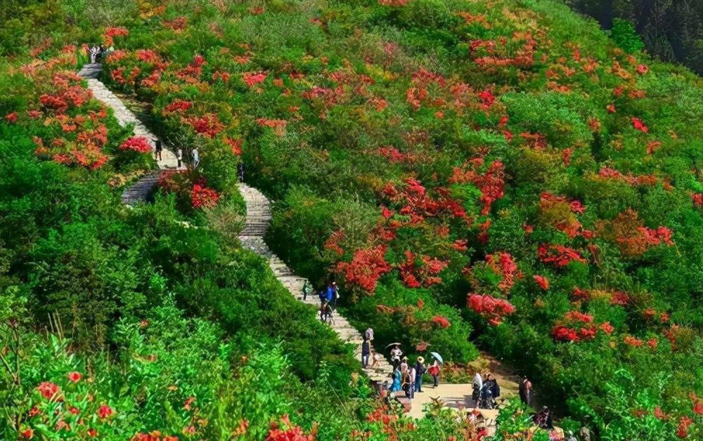 大熊山国家森林公园:自然之旅的绝佳选择 娄底,一个隐藏在湖南深处的
