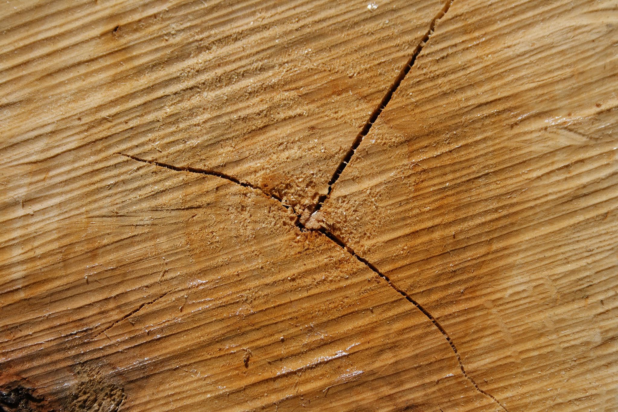 避免木材开裂的6大要点与贴心提示 木材开裂是很多木工爱好者都会遇到