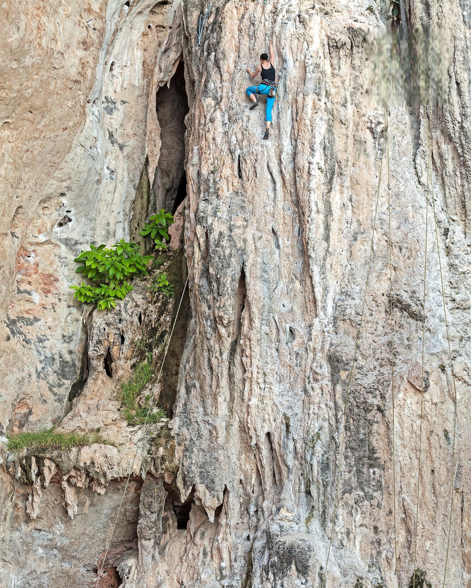 日本海底断层崖的发现:地震与海洋地质的法规模糊地带 日本研究团队