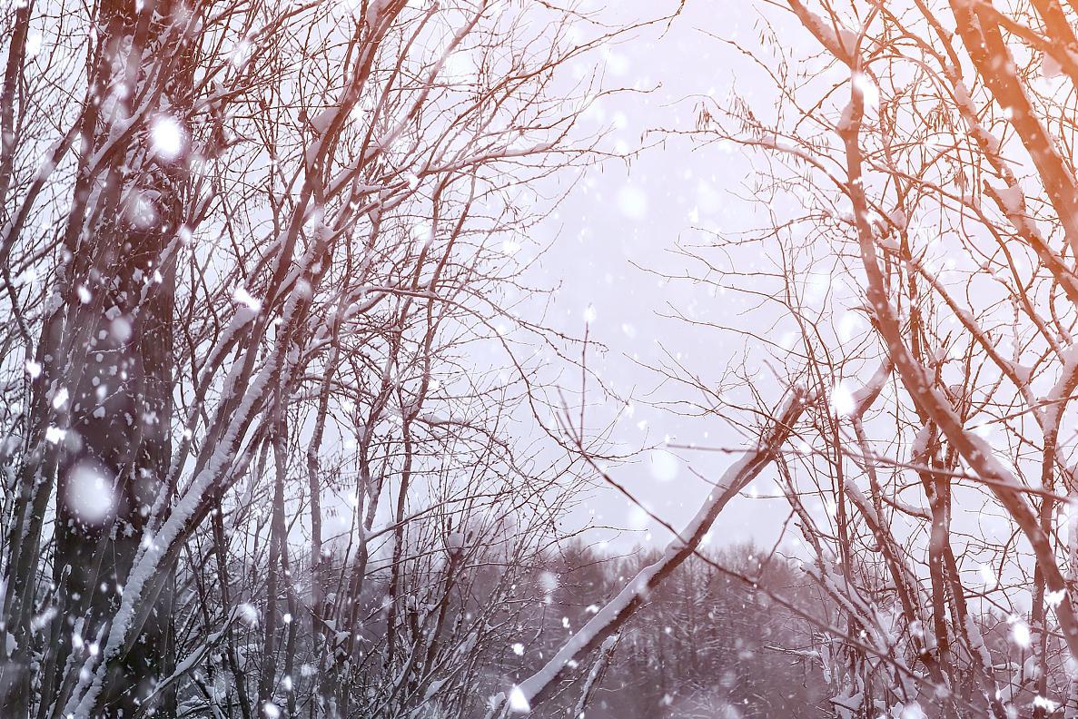 冬日雪景 大自然的美景与挑战 雪花纷纷扬扬