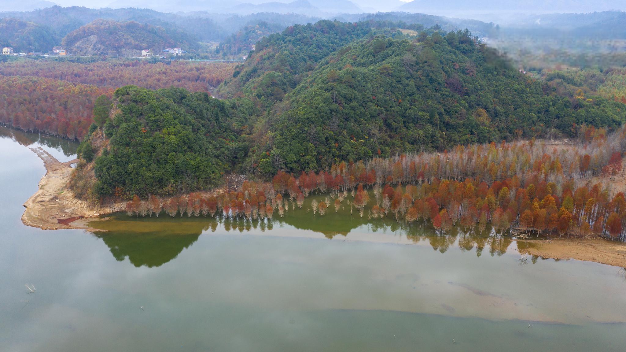 长顺杜鹃湖风景区图片图片