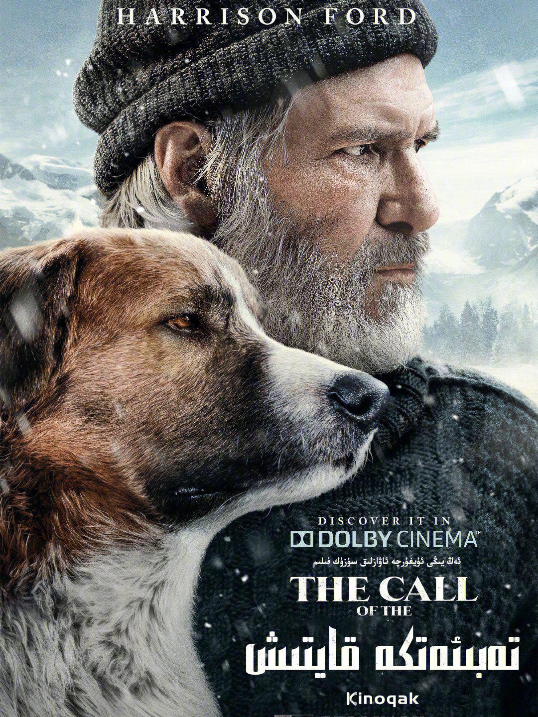 《野性的呼唤》:生存与自由 电影《野性的呼唤》是一部非常出色的冒险