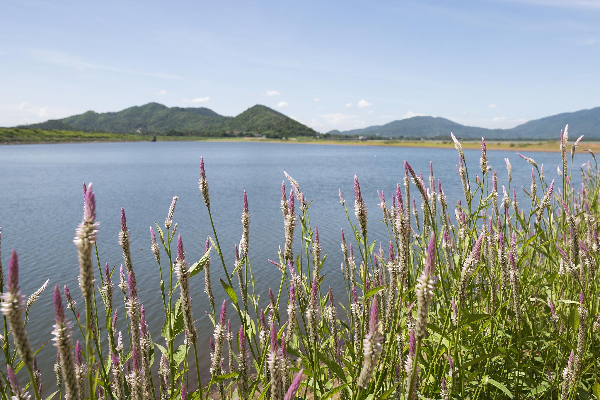 燕山湖:自然美景与文化底蕴的绝佳去处 燕山湖,一片宁静的水域,宛如