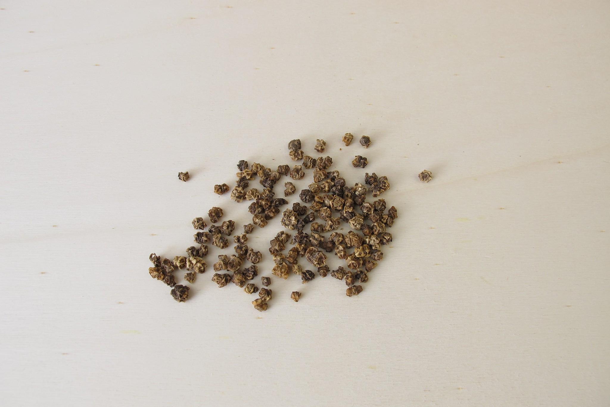 酢浆草种子种植秘籍:超详细指南 想在家中拥有一片绚丽的酢浆草花海吗