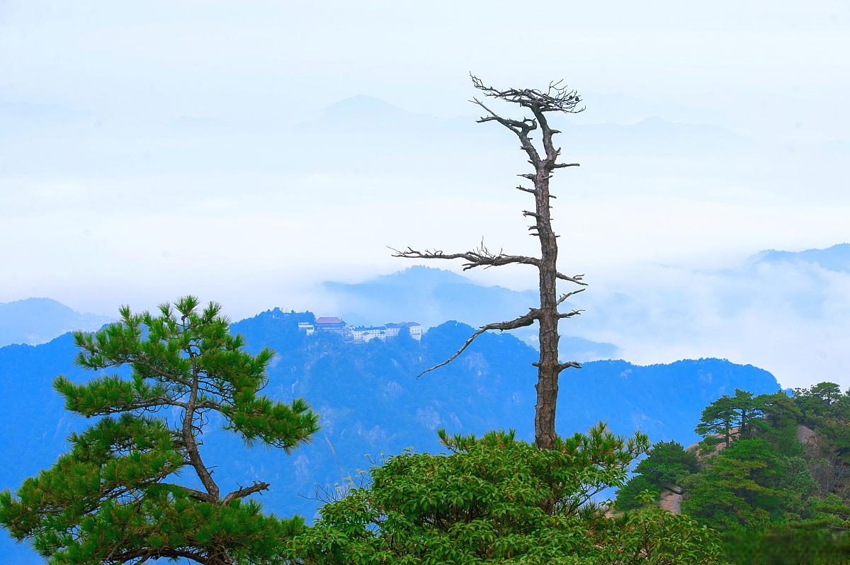 安徽九华山:自然与文化的完美结合 安徽九华山位于安徽省池州市青阳县