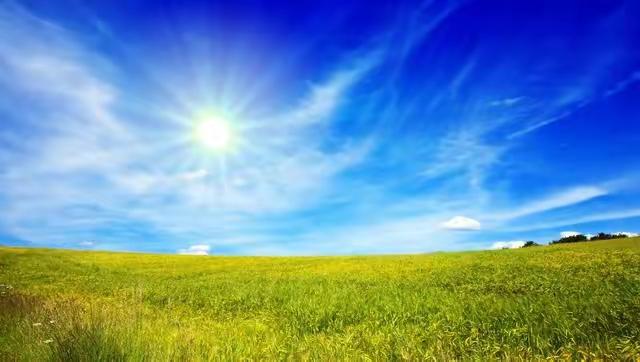 阳光如热情的舞者,疯狂地在大地上翩跹,微风则像一个调皮的孩子,轻轻