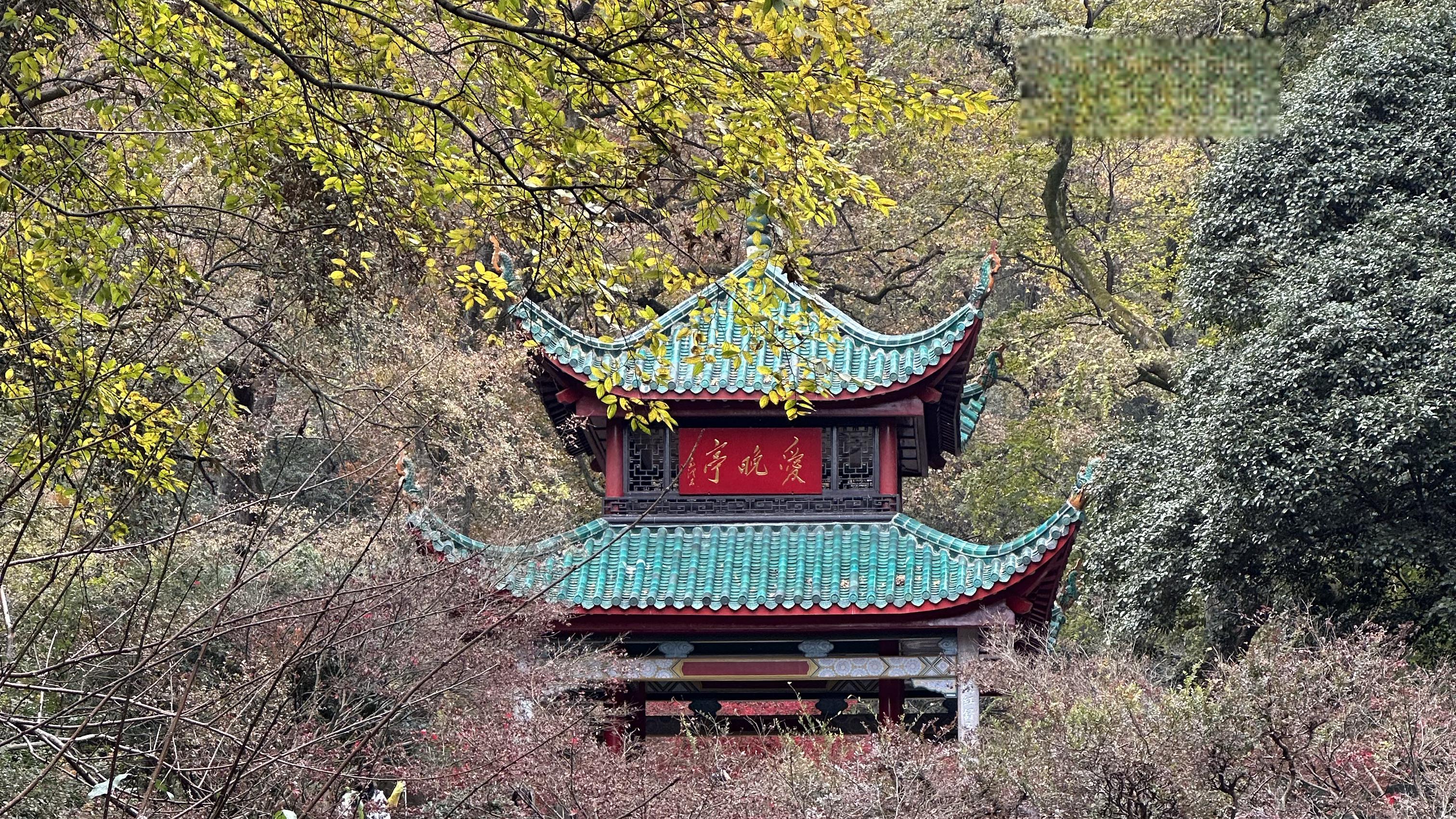 长沙之旅:岳麓书院,古韵之巅 从宁夏启程,穿越甘肃宁县,漫步于湖北