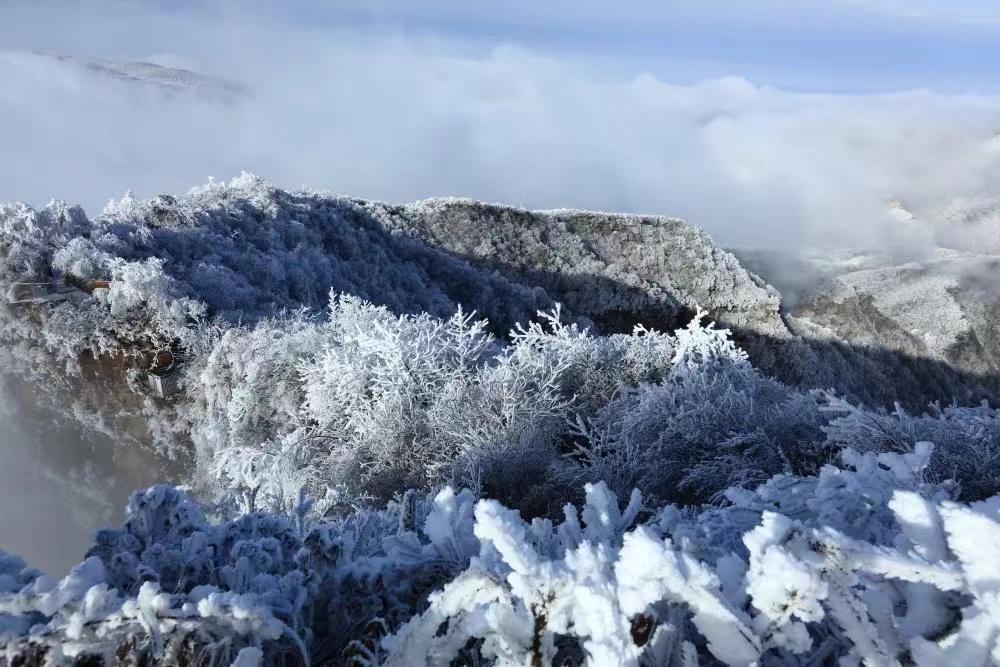 这里的雪景纯净无瑕,冰溜子,雾凇,水晶冰挂,宛如仙境.