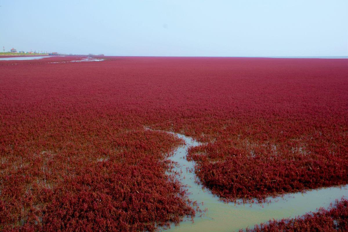 云南抚仙湖红沙滩:如梦如幻的自然奇观 云南抚仙湖西岸的红山咀处,藏
