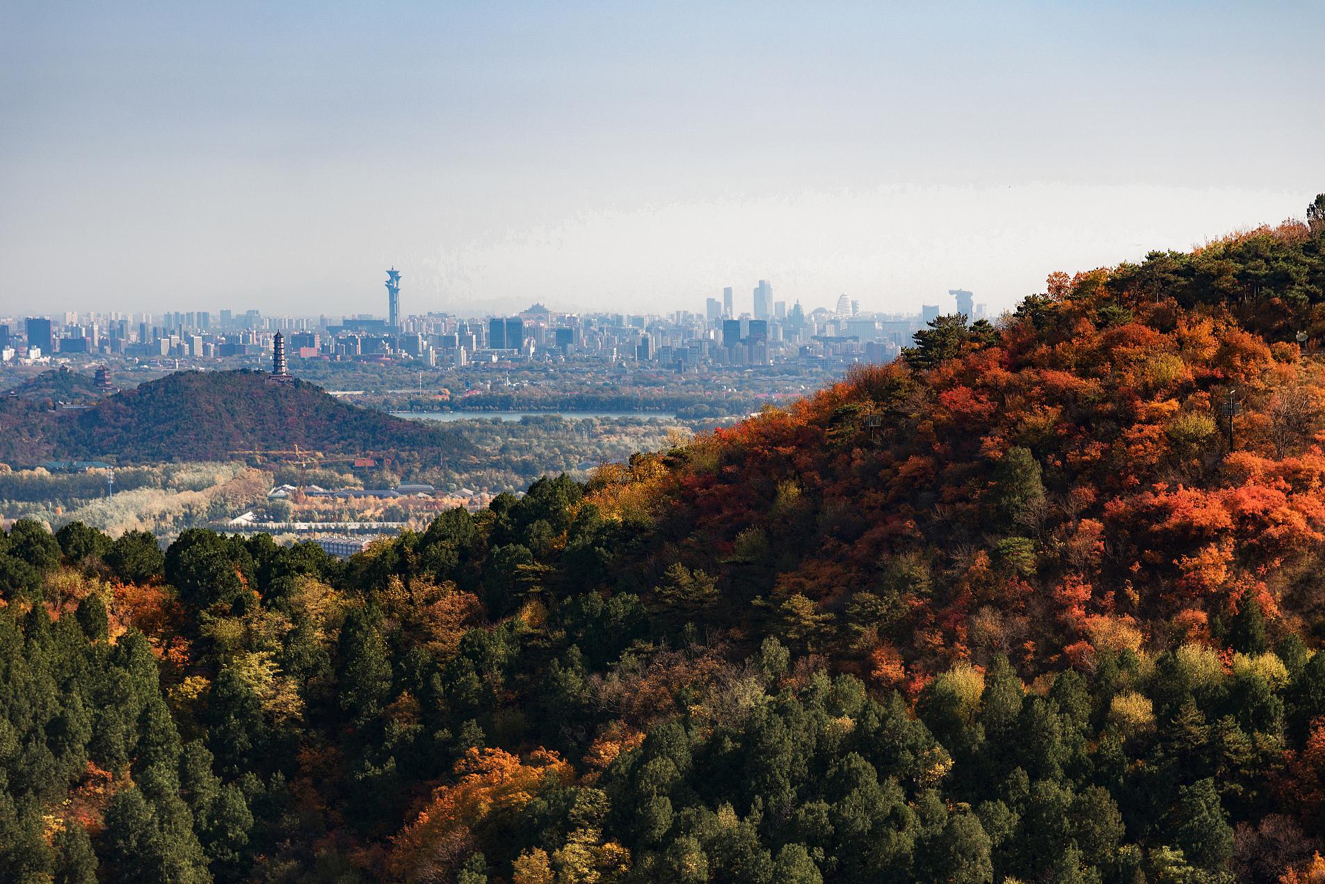 北京香山公园游玩图片