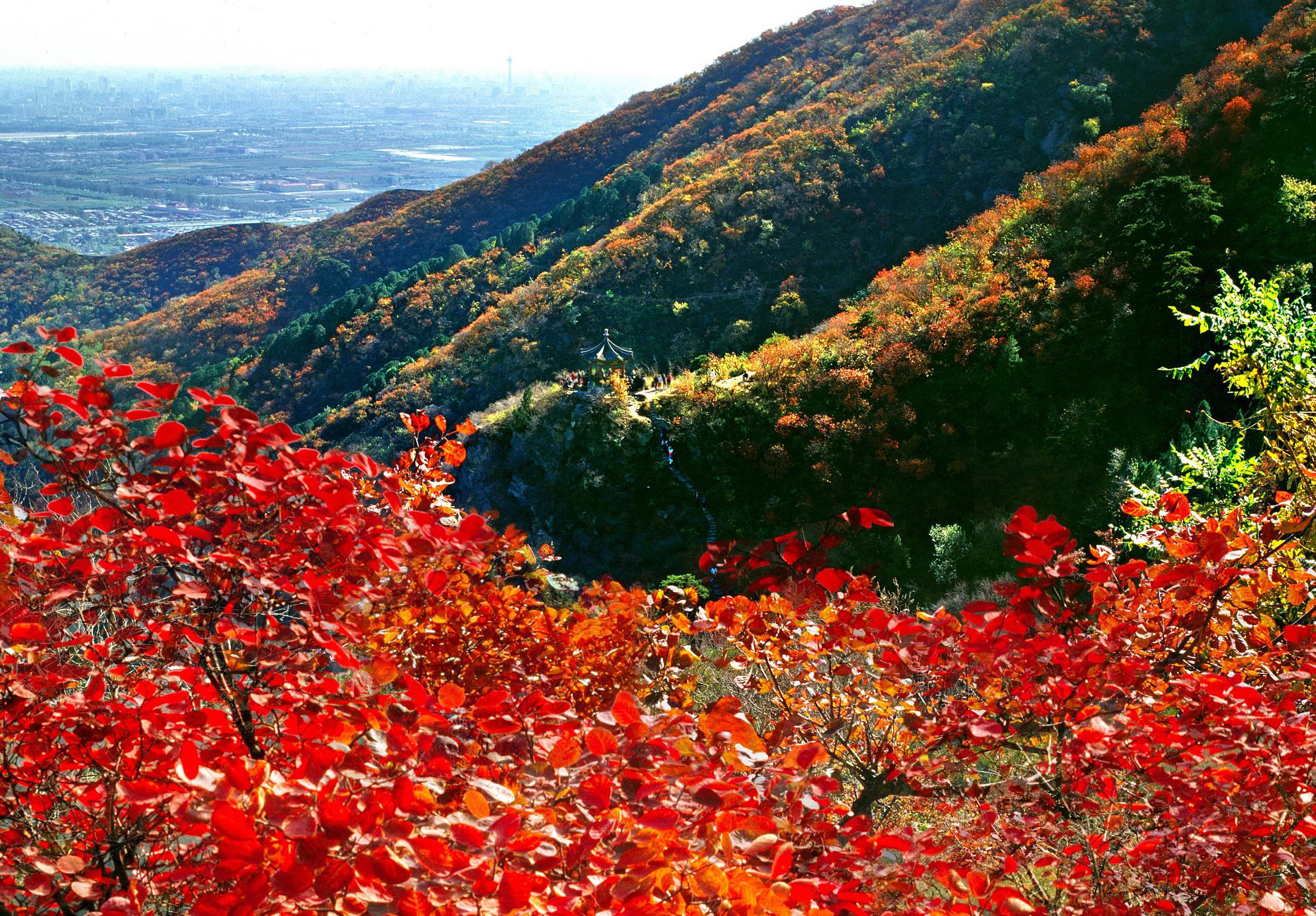 秋天的香山公园:探秘皇家园林的醉人风光 香山公园,位于北京市海淀区