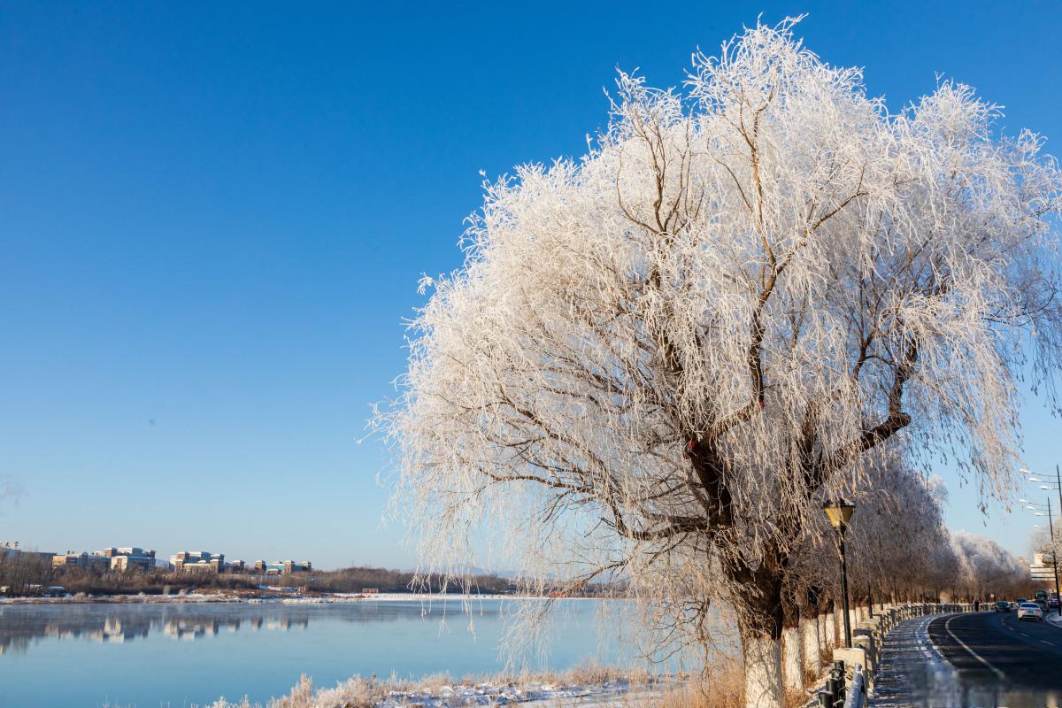 吉林雾凇岛:冬日冰雪奇观的绝佳之地 吉林雾凇岛,这个位于中国吉林省