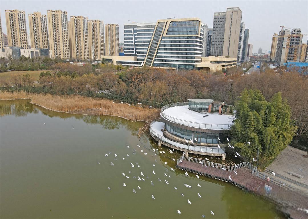 冬日暖阳下的航天城中湖公园 在这个喧嚣的城市中,有一个隐藏的绿洲