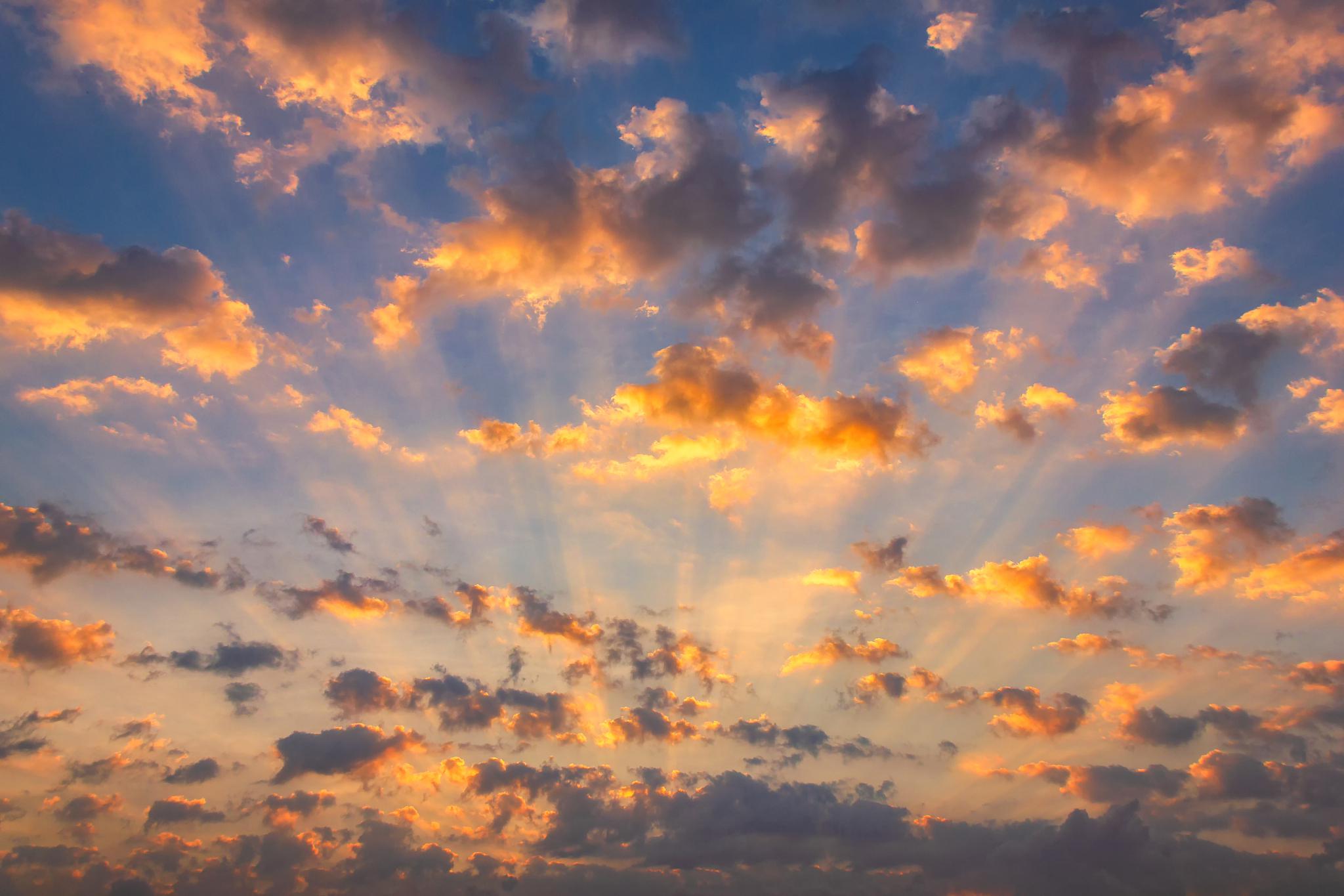 梦幻般的景色 初见青白,又添一抹粉红,瞬间柳絮般的云霞漫天飞舞,洒满