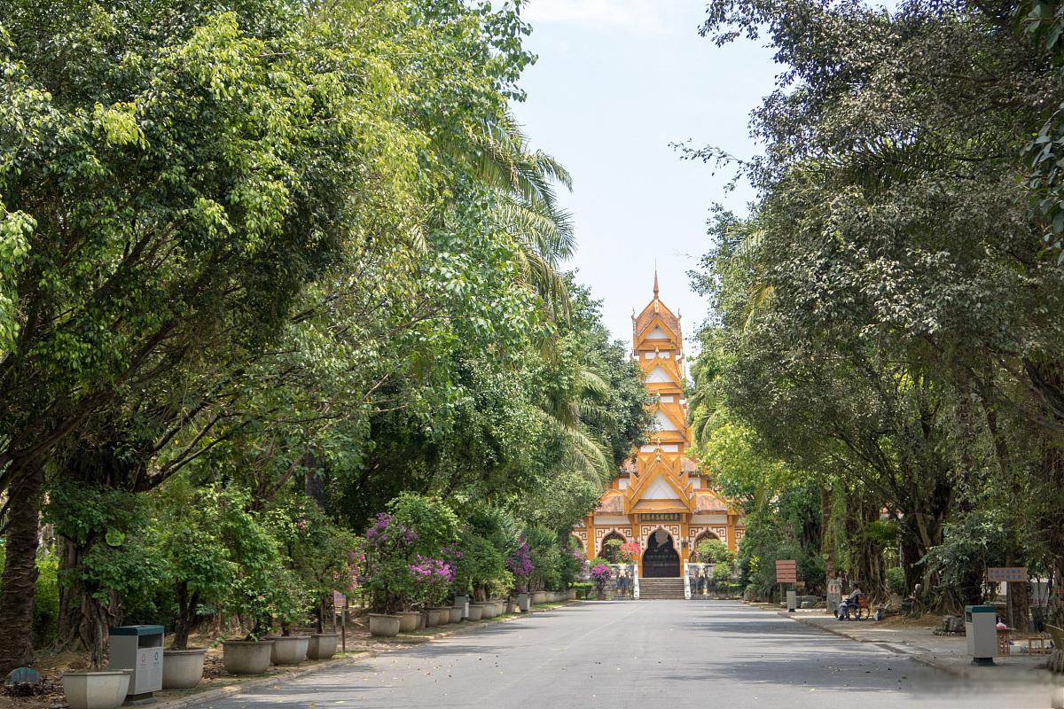 芒市:黎明之城 芒市位于云南西部,是德宏州的心脏地带.