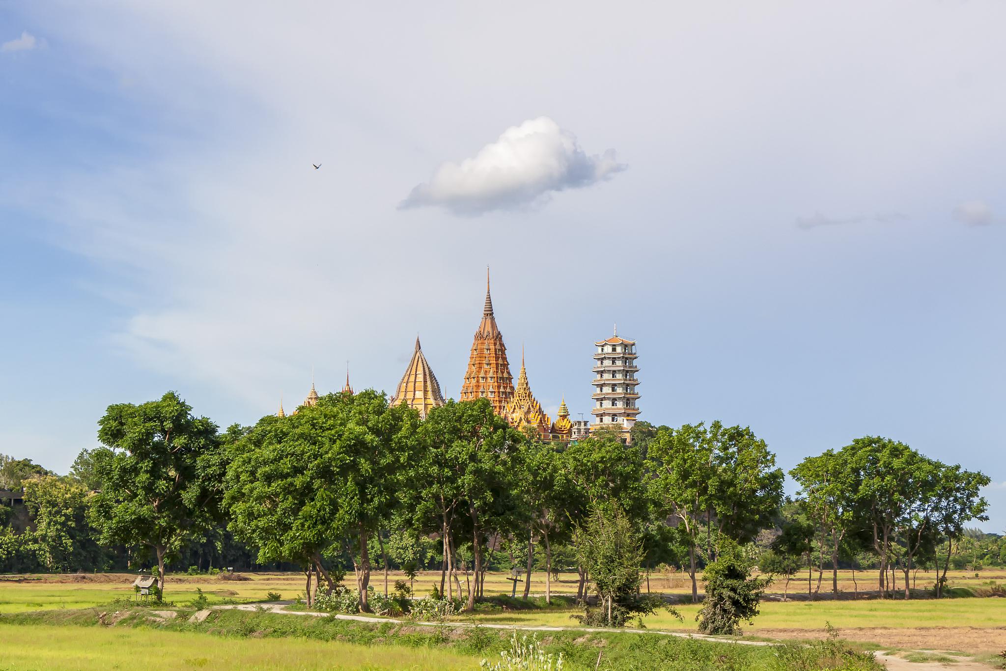 芒市:黎明之城 芒市位于云南西部,是德宏州的心脏地带.