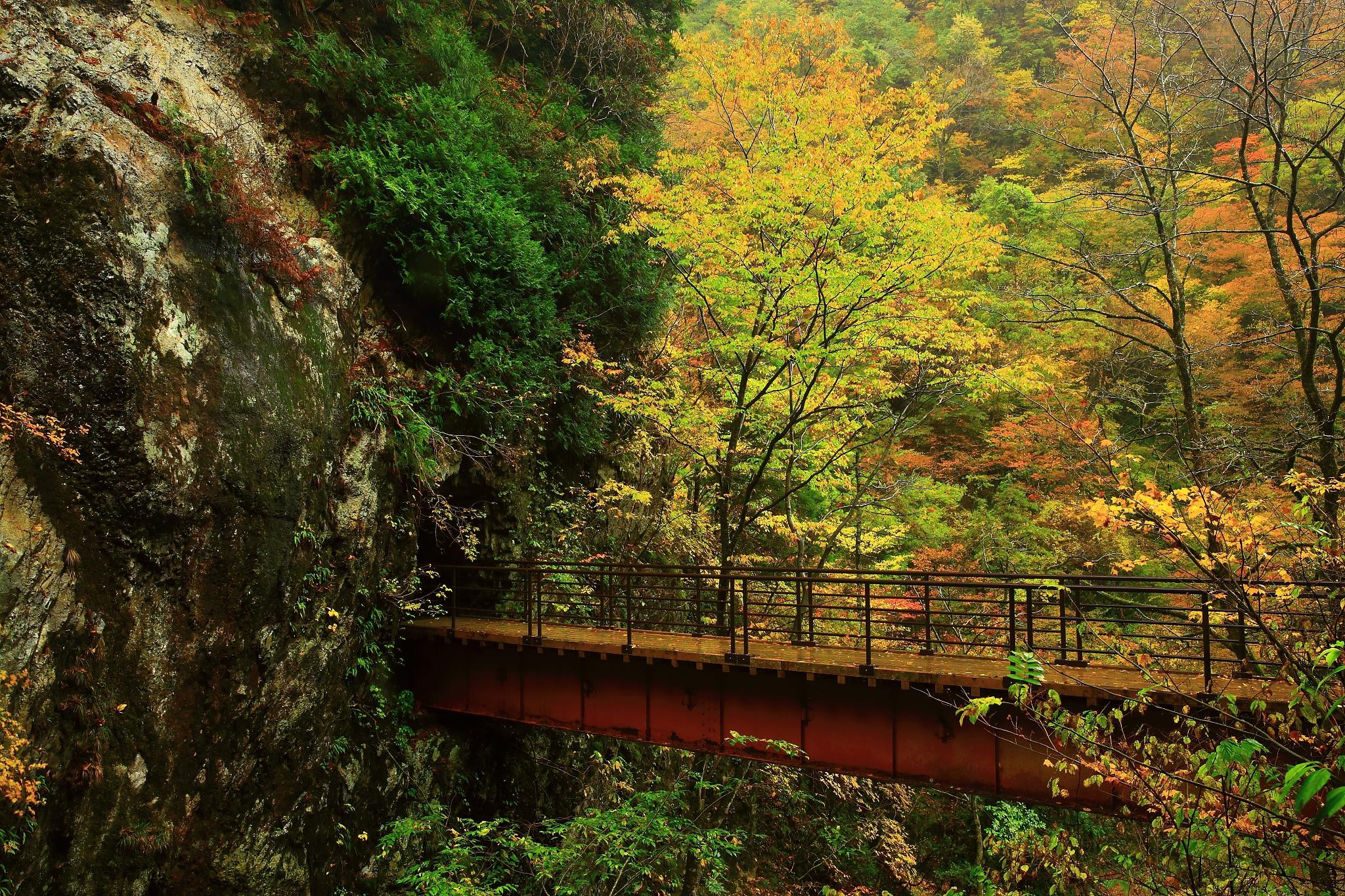 巴中,四川之心,藏匿着无数令人叹为观止的风景