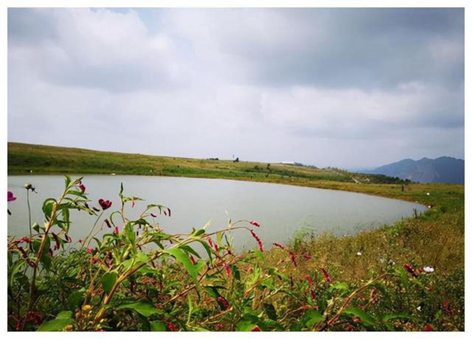 兴仁放马坪风景区图片