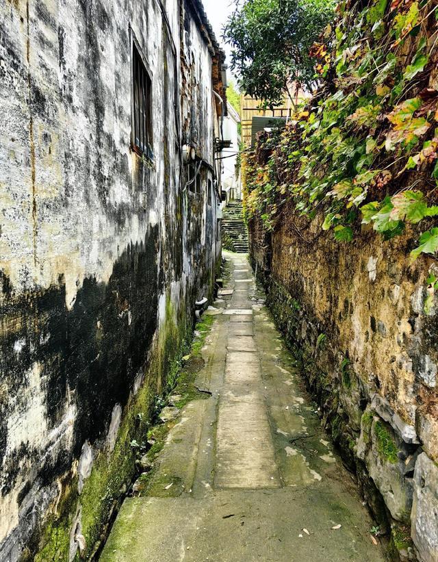 芹川古村:历经700年风雨的"活着的古村" 芹川古村,位于浙江淳安县的