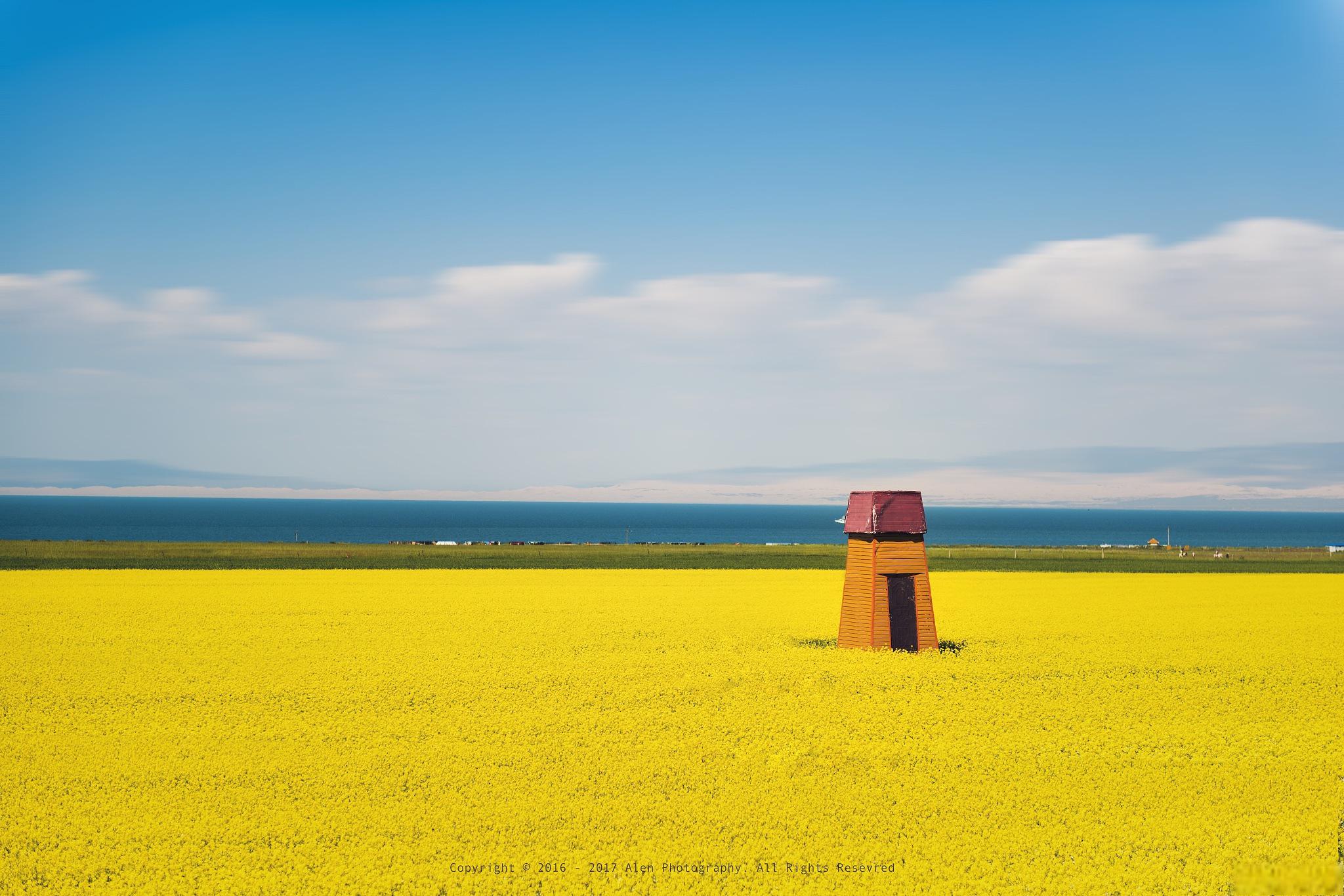 四季美景 青甘大环线,横跨青海与甘肃,是西部地区最美丽的风景线