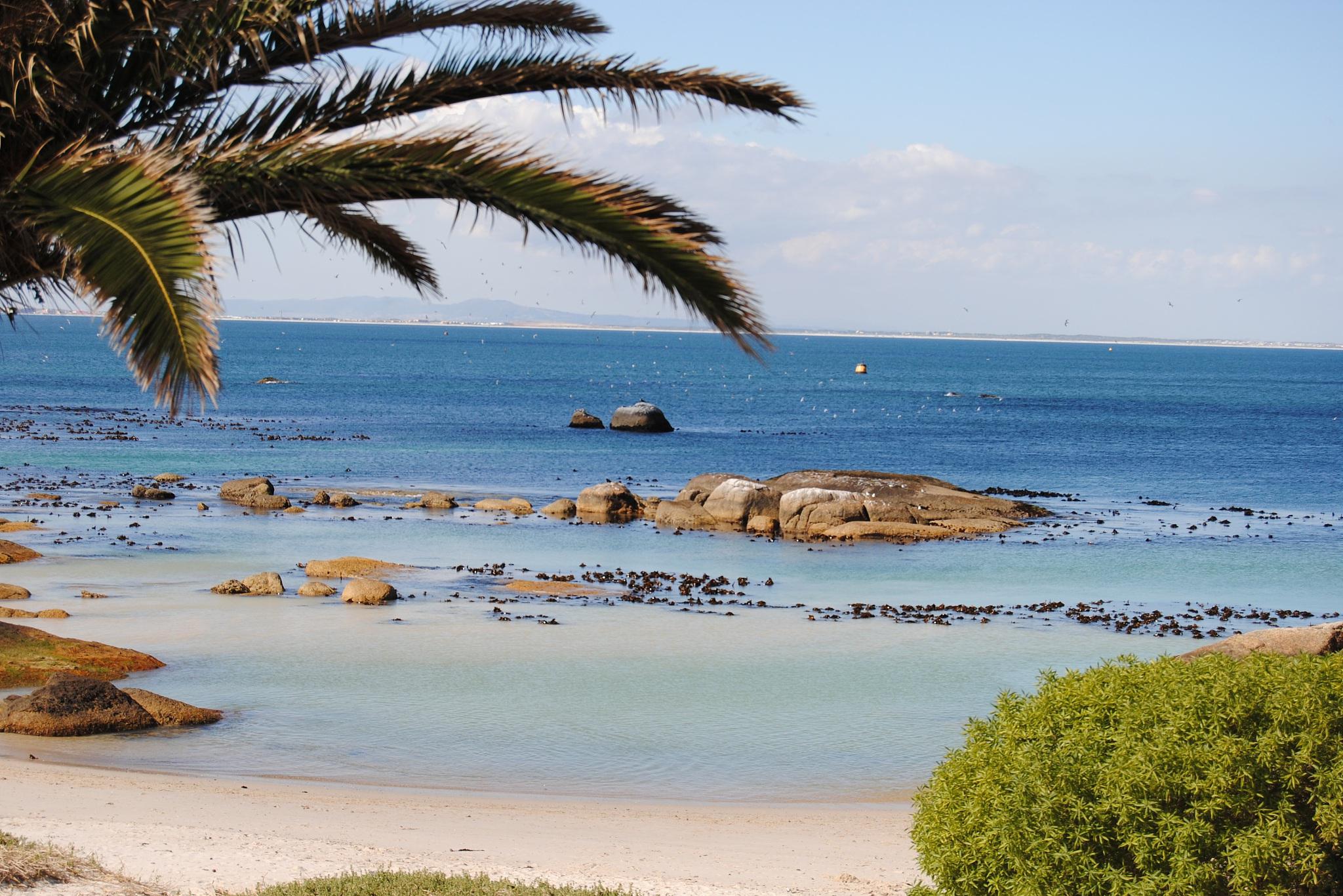 海南岛:冬日里的美丽海岛 冬日里,寻找一处温暖与美景并存的天堂.