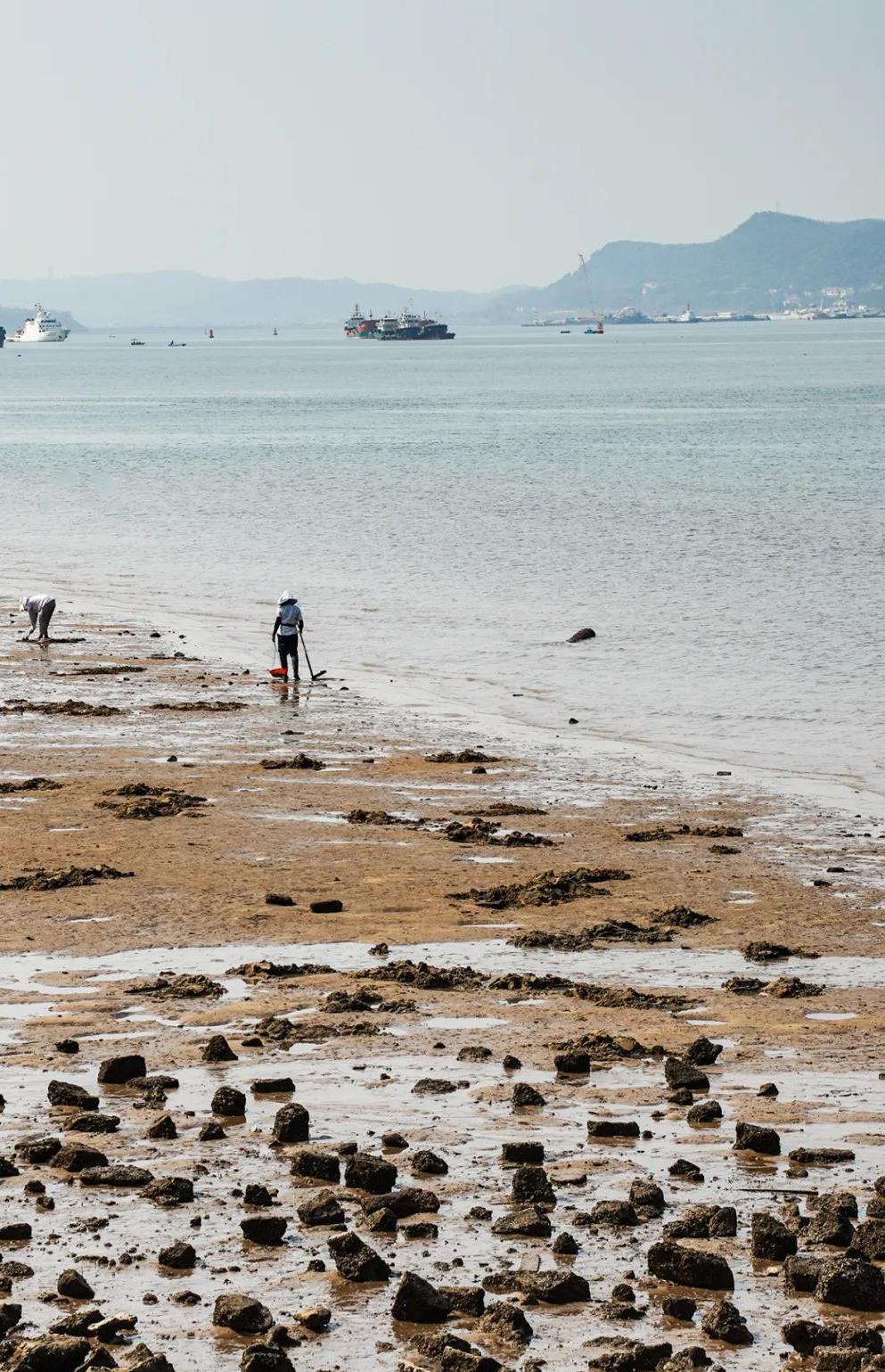 广西防城港西湾景区:探索城市的海滨魅力 广西防城港西湾景区,一个让
