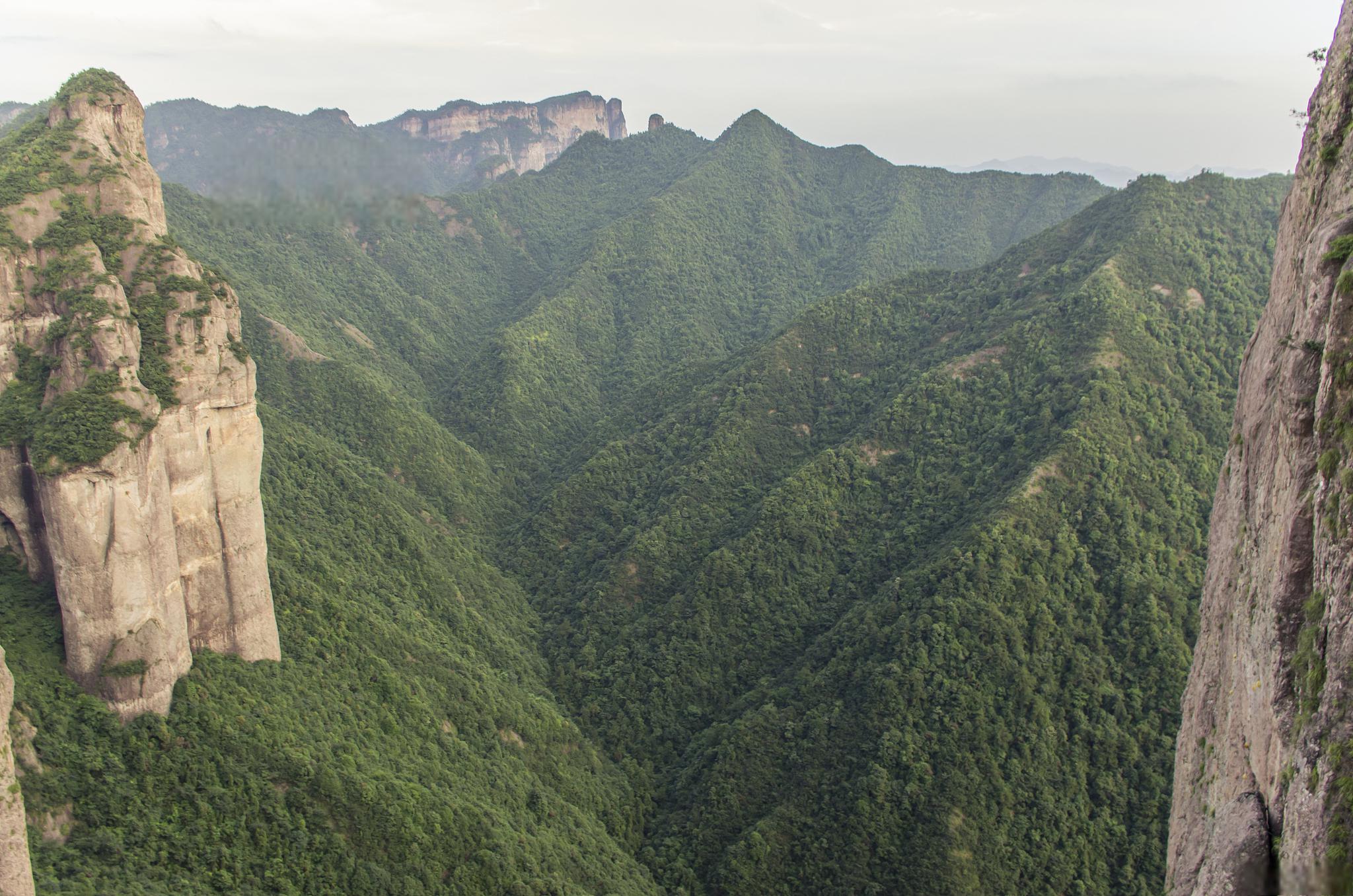 王莽岭风景图片