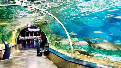 西雅图水族馆:与海洋生物亲密接触的圣地 西雅图水族馆位于美国华盛顿