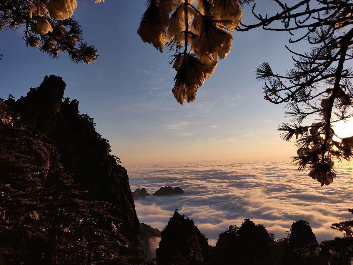黄山一日游:尽享五绝奇景 黄山,中国山水之冠,以奇松,怪石,云海,温泉