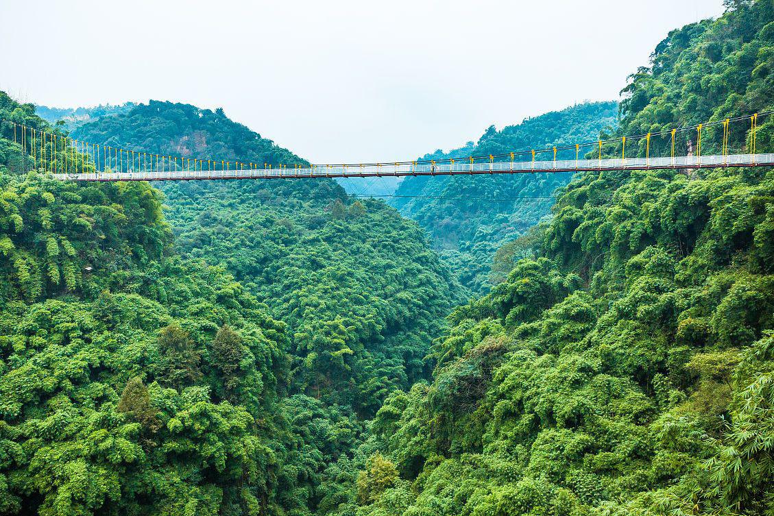 川西竹海景区:自然与人文的绝美融合 川西竹海景区是一个集自然,人文