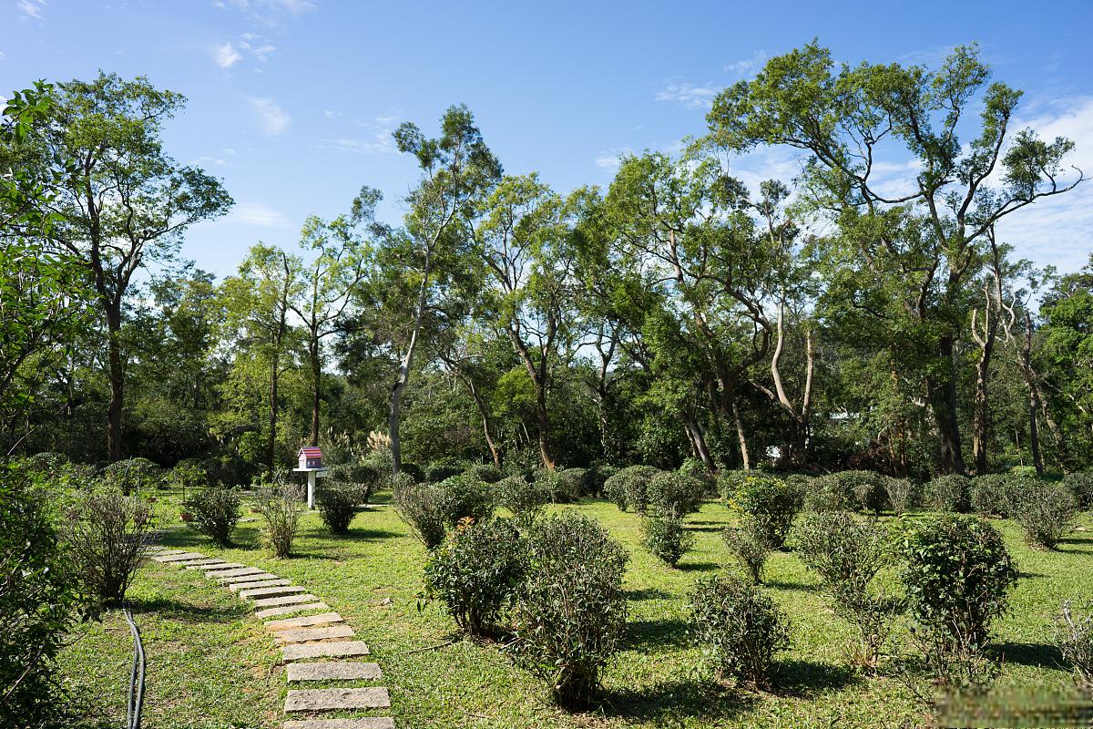 探寻青岛黄岛区的铁山公园 铁山公园,一个集自然风光,人文景观和娱乐