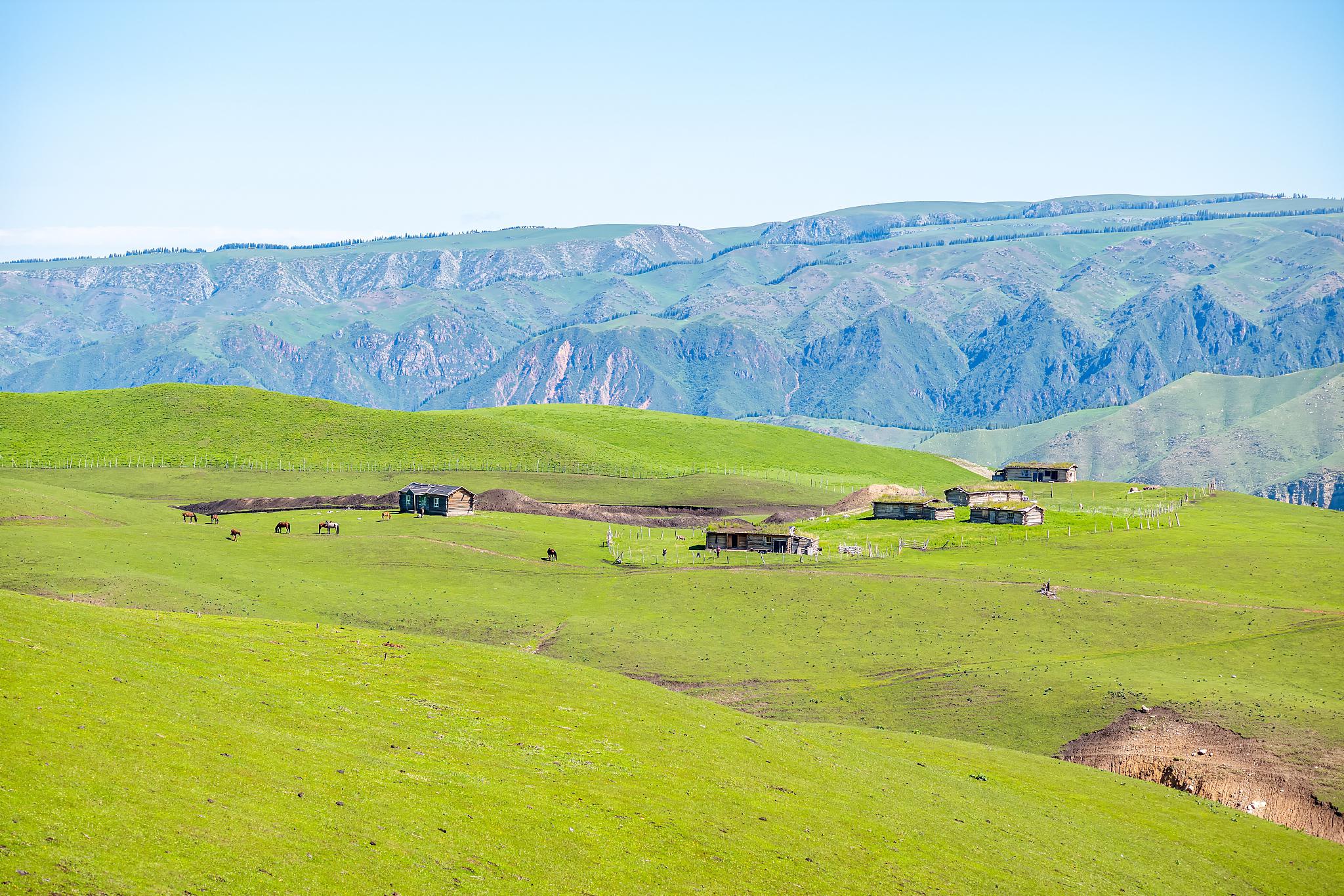 巩留县:自然与历史的绝美交响曲 巩留县,新疆伊犁河谷的心脏地带,深藏