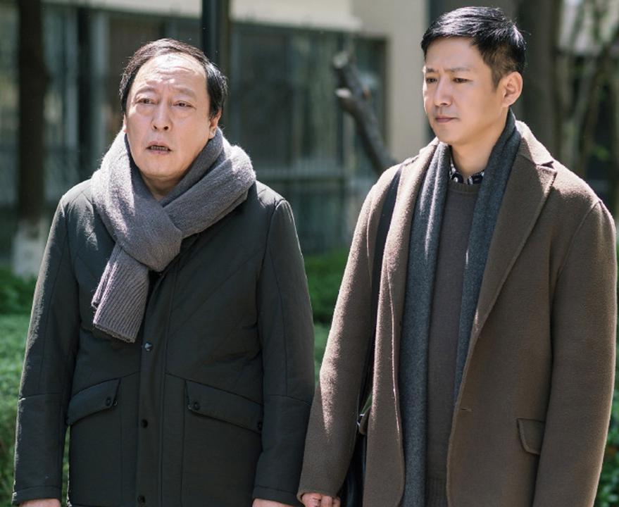 《都挺好》:成功的奥秘 《都挺好》成功的奥秘在于导演的用心,演员的
