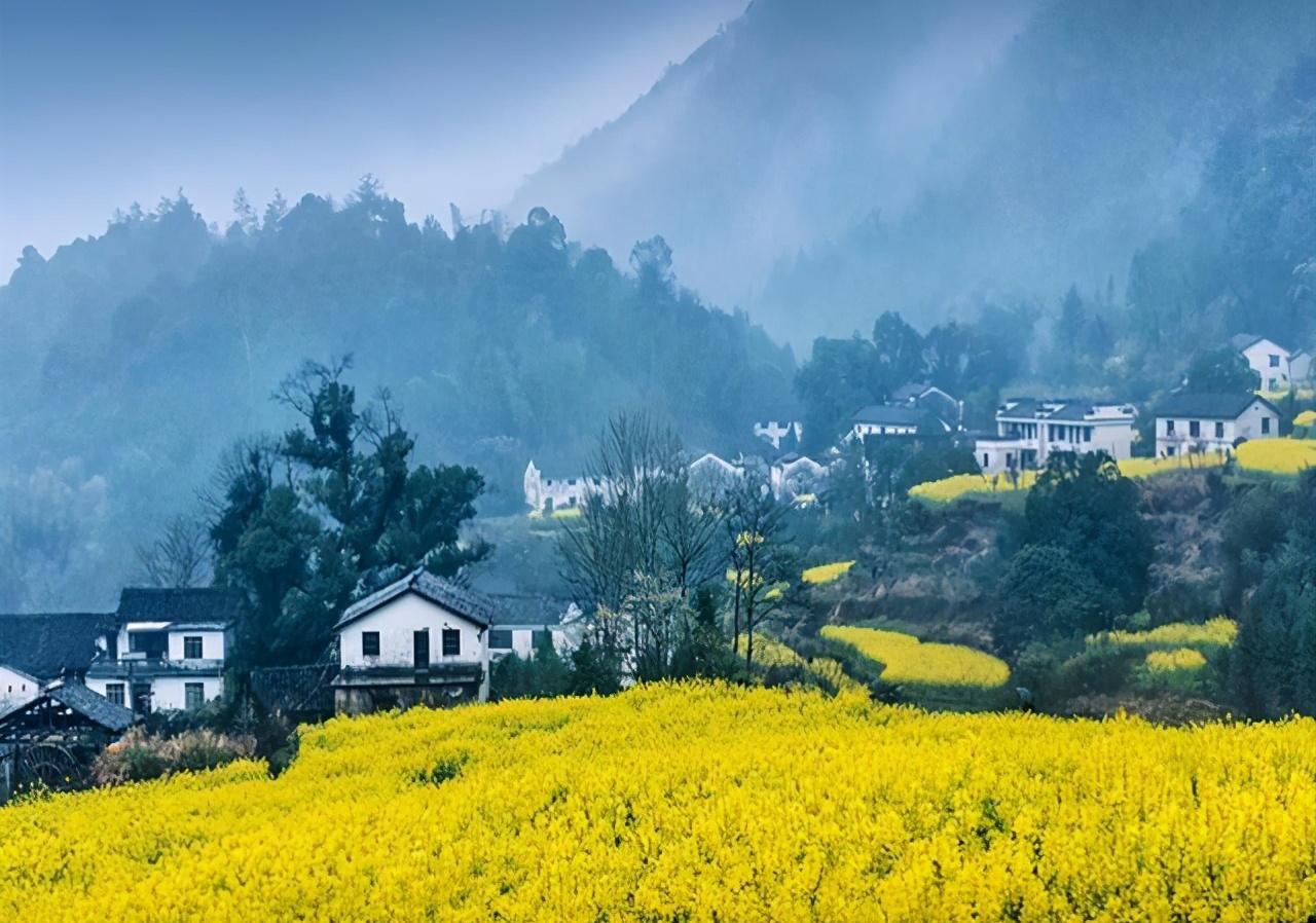 白石岭村:探寻历史印记,共赏古韵之美 安徽省池州石台县,藏匿着一个