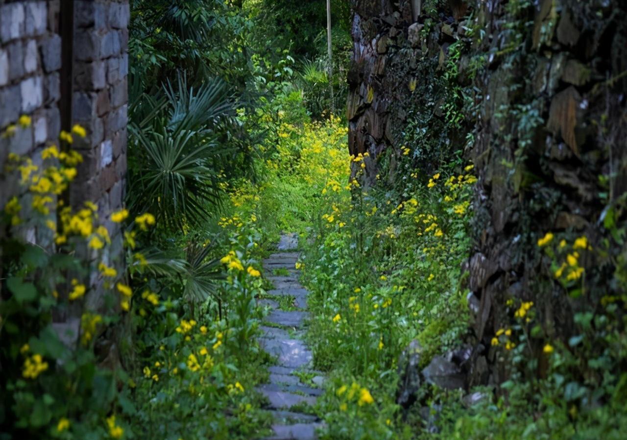 白石岭村:探寻历史印记,共赏古韵之美 安徽省池州石台县,藏匿着一个