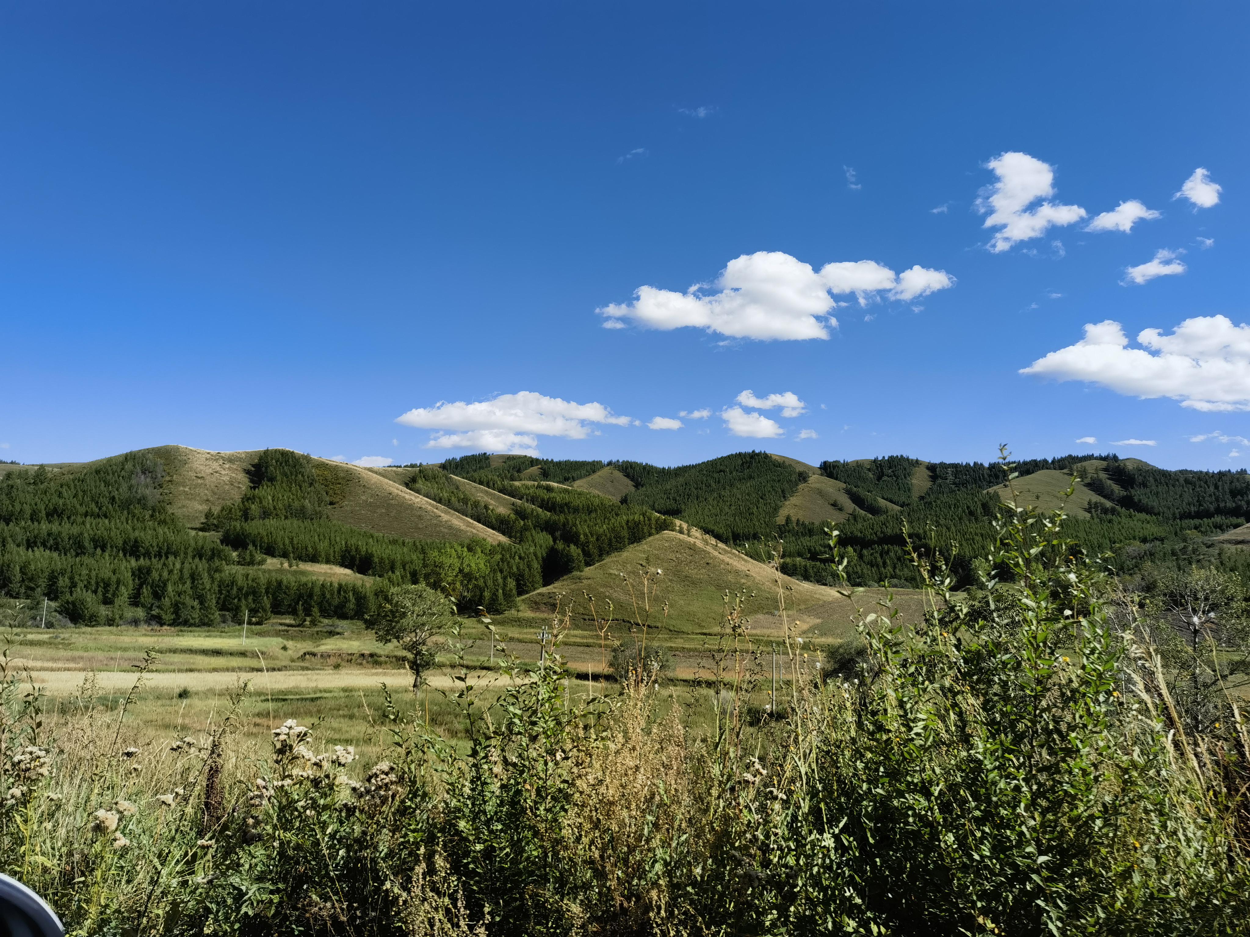 呼市草原之行:一段难忘的回忆 落地呼市,午后时光,初印象却是——人烟