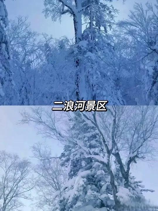 出租车宰客事件:哈尔滨亚布力当局迅速应对与法律层面的反思 近期,一