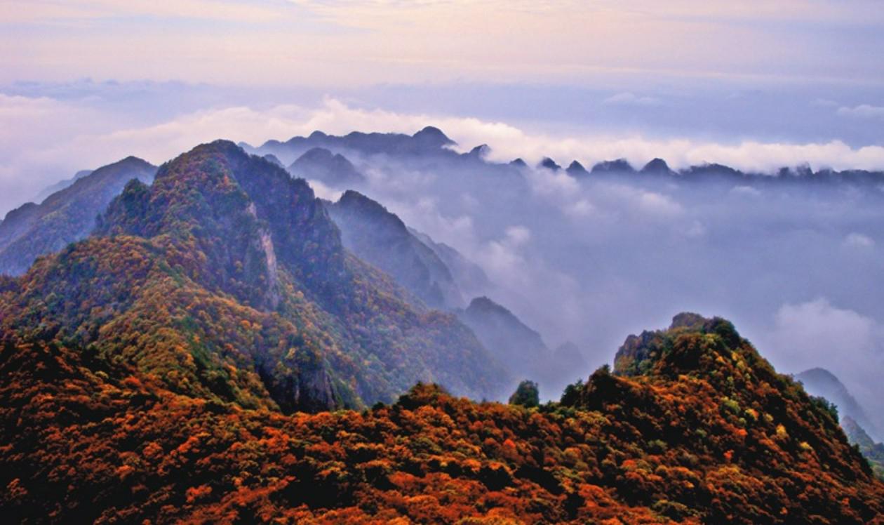 探寻山西历山的无尽魅力!自驾游必看攻略!