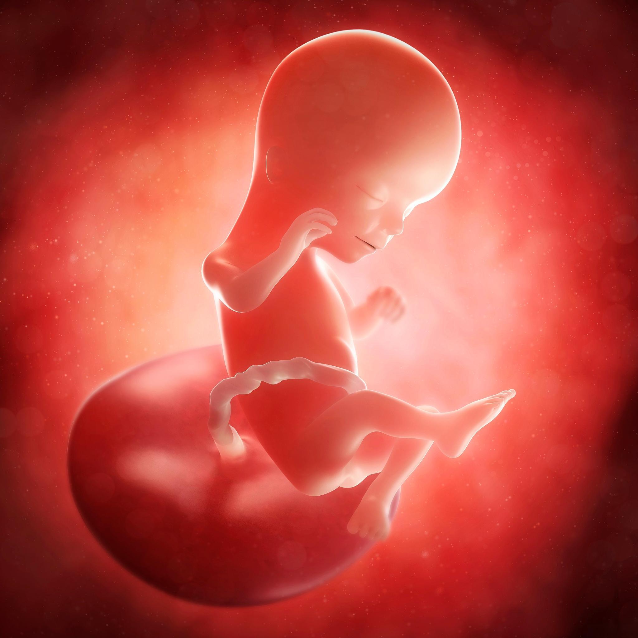 男子离婚拒养人工授精之子:法律视角下的责任与义务