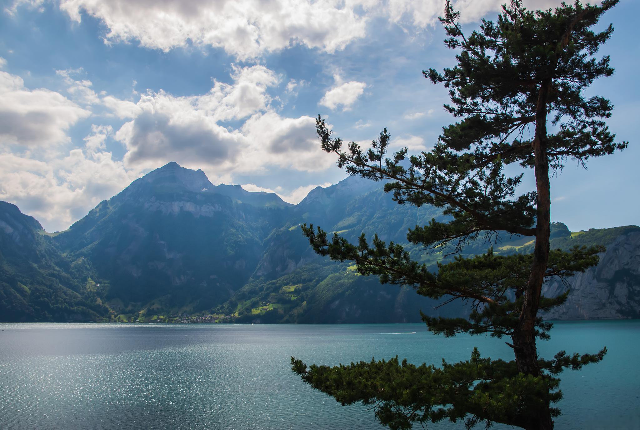 探秘藏云溪:自然与历史的完美融合 藏云溪,位于浙江省宁波市奉化区,是